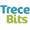 logo-13bits-curso.png